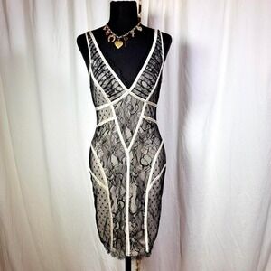 bebe Sheer Lace Illusion Dress – Black/Nude (S)